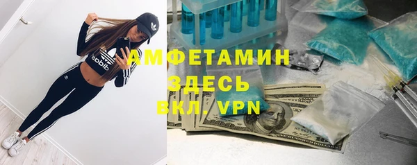 индика Балахна