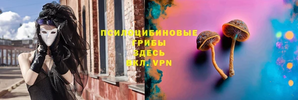 стафф Арсеньев