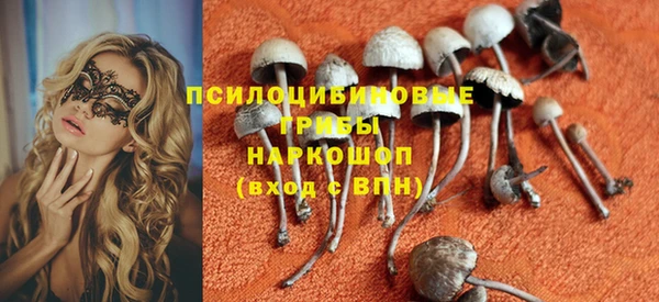стафф Арсеньев