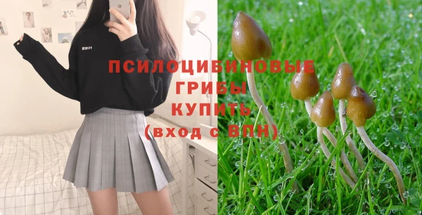 2c-b Аркадак