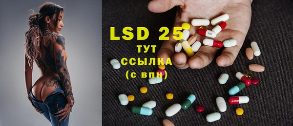 индика Балахна