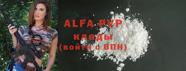 стафф Арсеньев