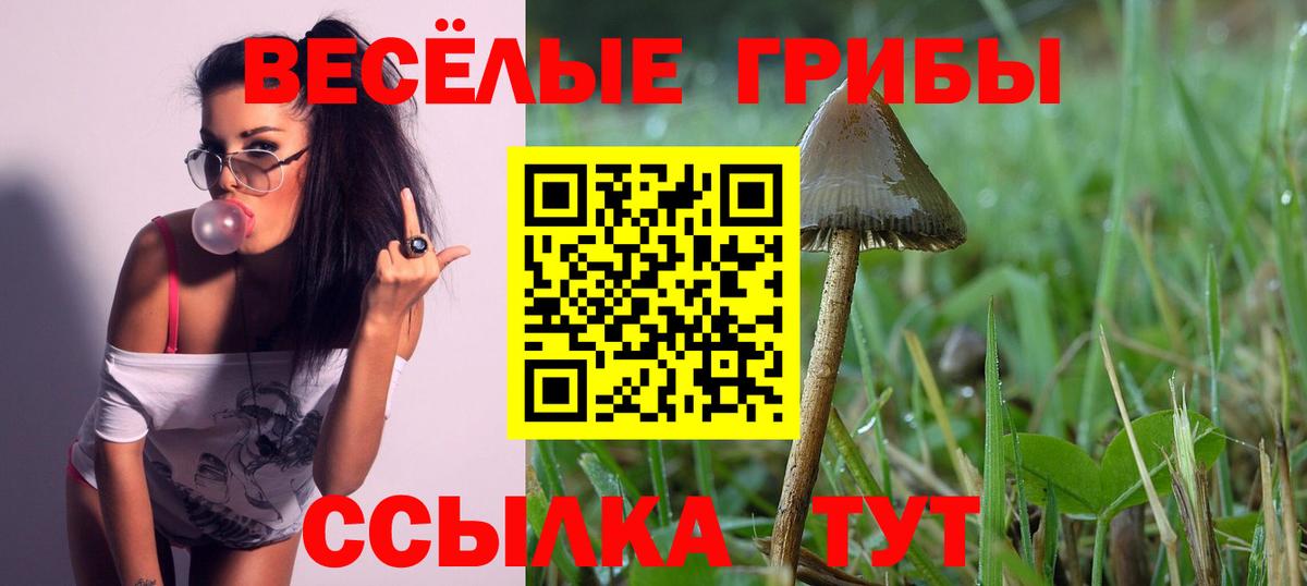 Галлюциногенные грибы Cubensis Кубинка